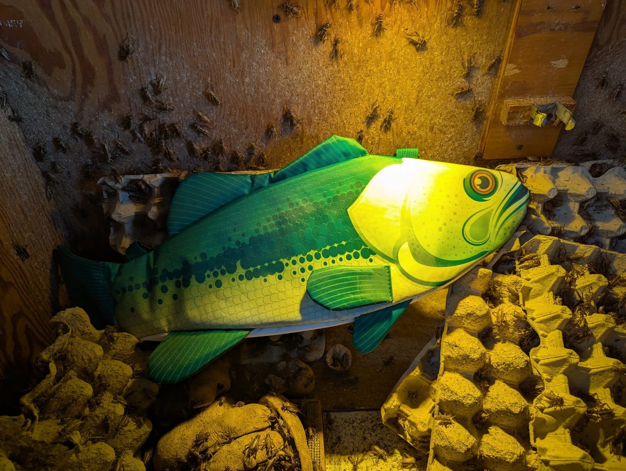 Decorative bass fish sculpture in the bait shop