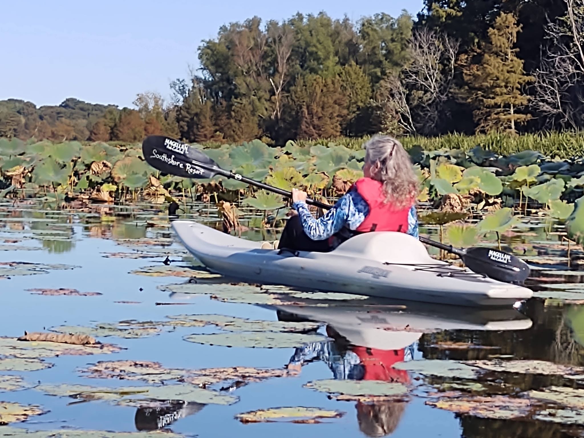 Woman kayaking through lily pads on Reelfoot Lake