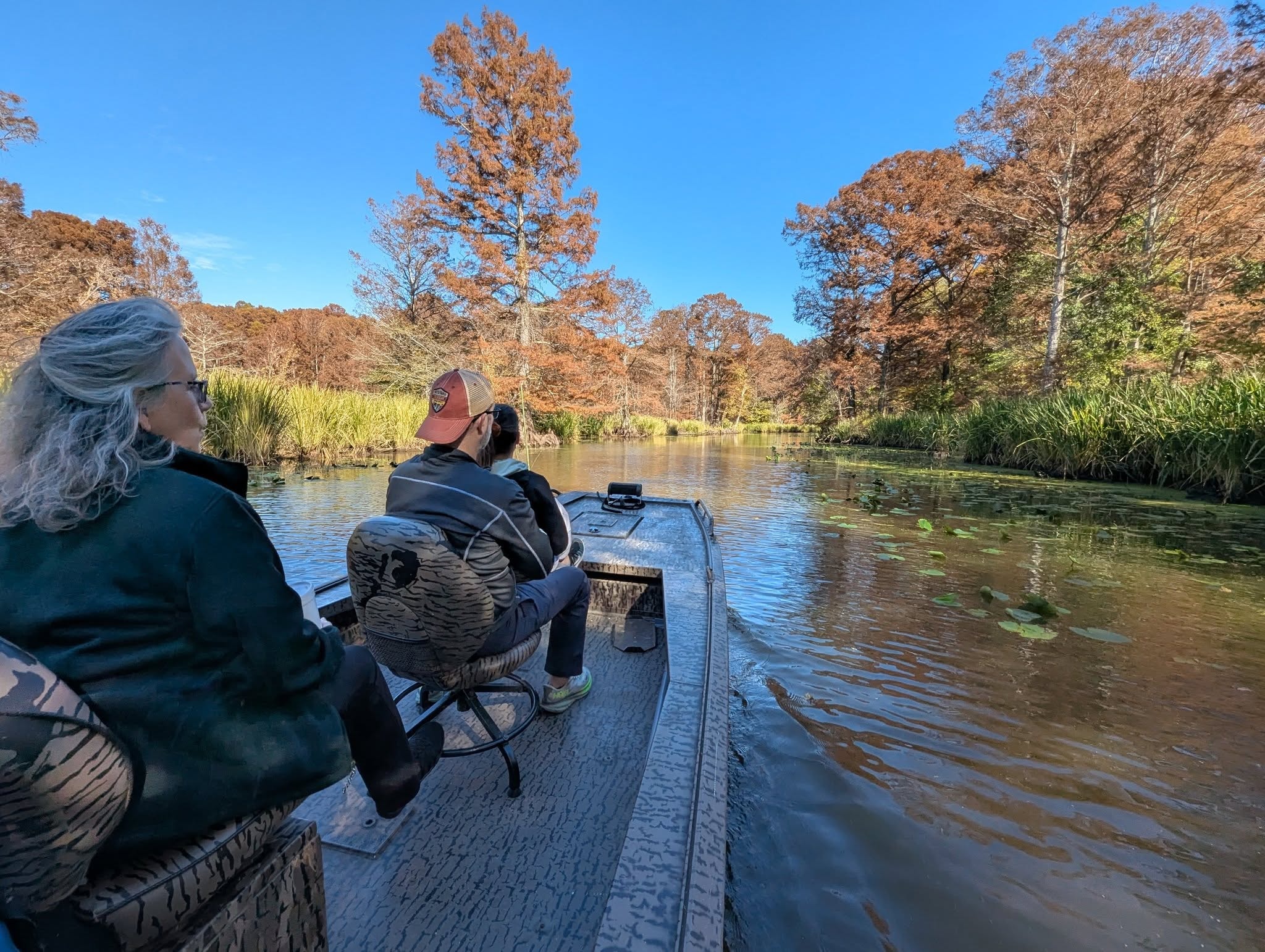 Guests on a Reelfoot Lake boat tour through autumn cypress trees
