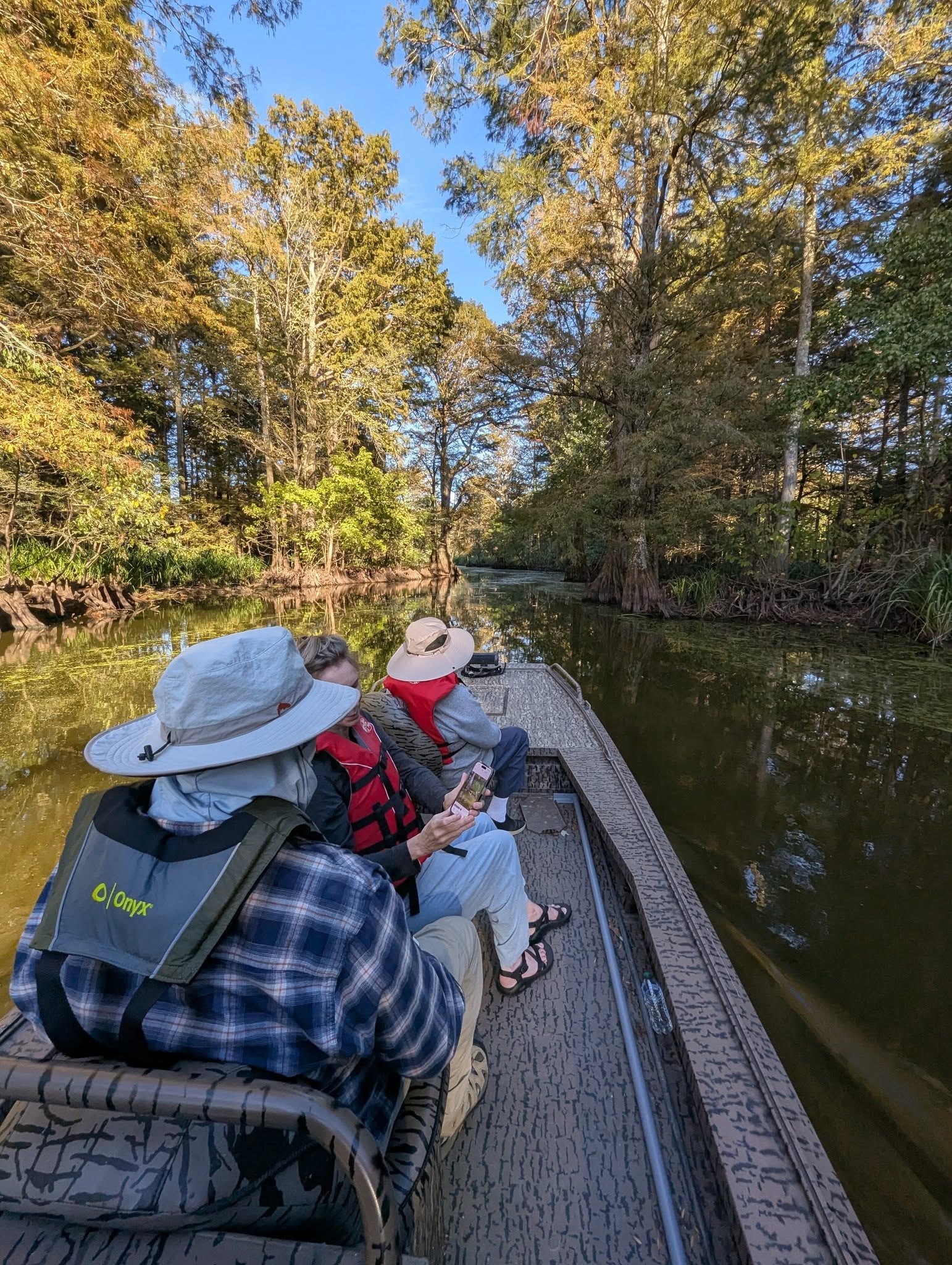 Guests kayaking through the cypress swamp on a Reelfoot Lake tour