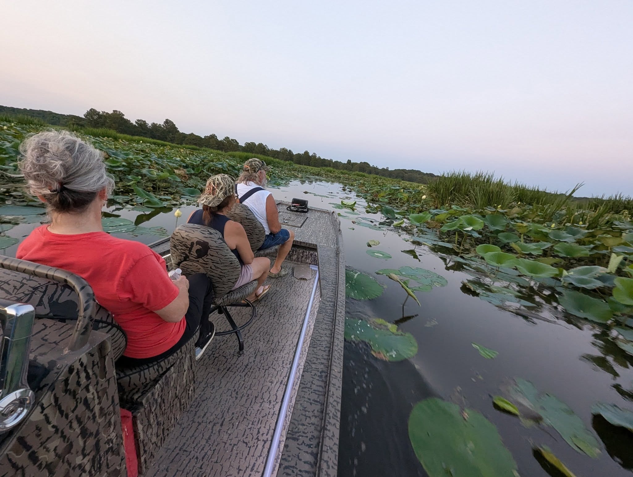 Guests on a Reelfoot Lake lotus tour at dusk