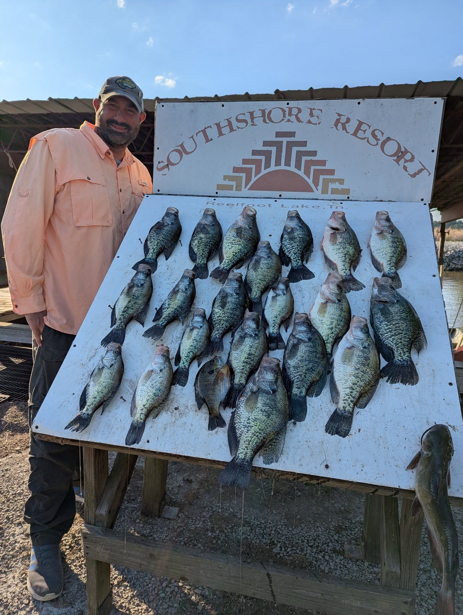 Angler with a full crappie board at Southshore Resort